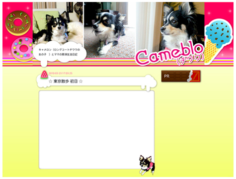 2009年バージョン