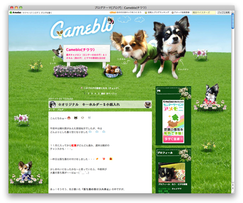 2011年バージョン